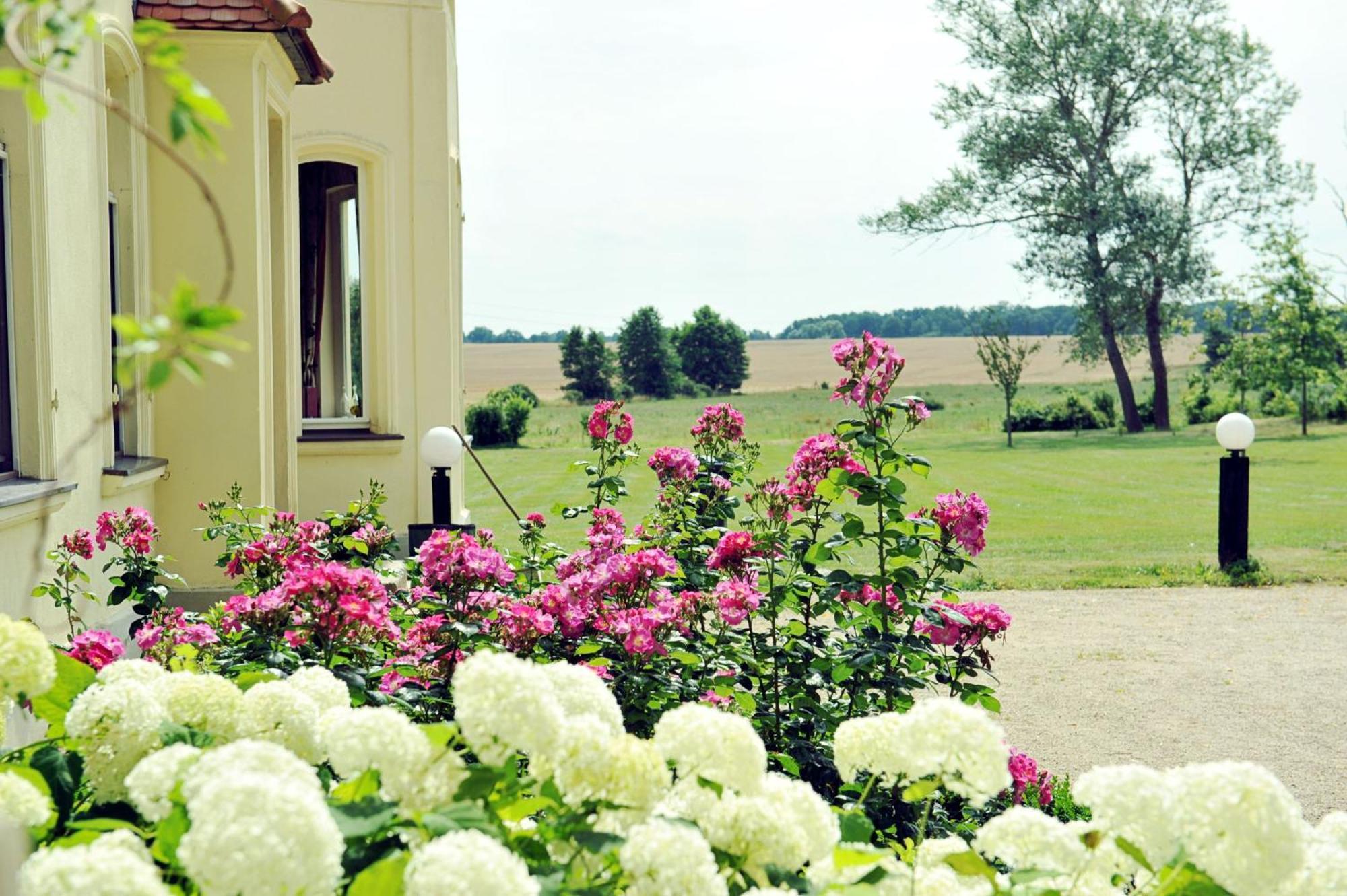 Gutshaus Penzlin Villa Meyenburg  Kültér fotó